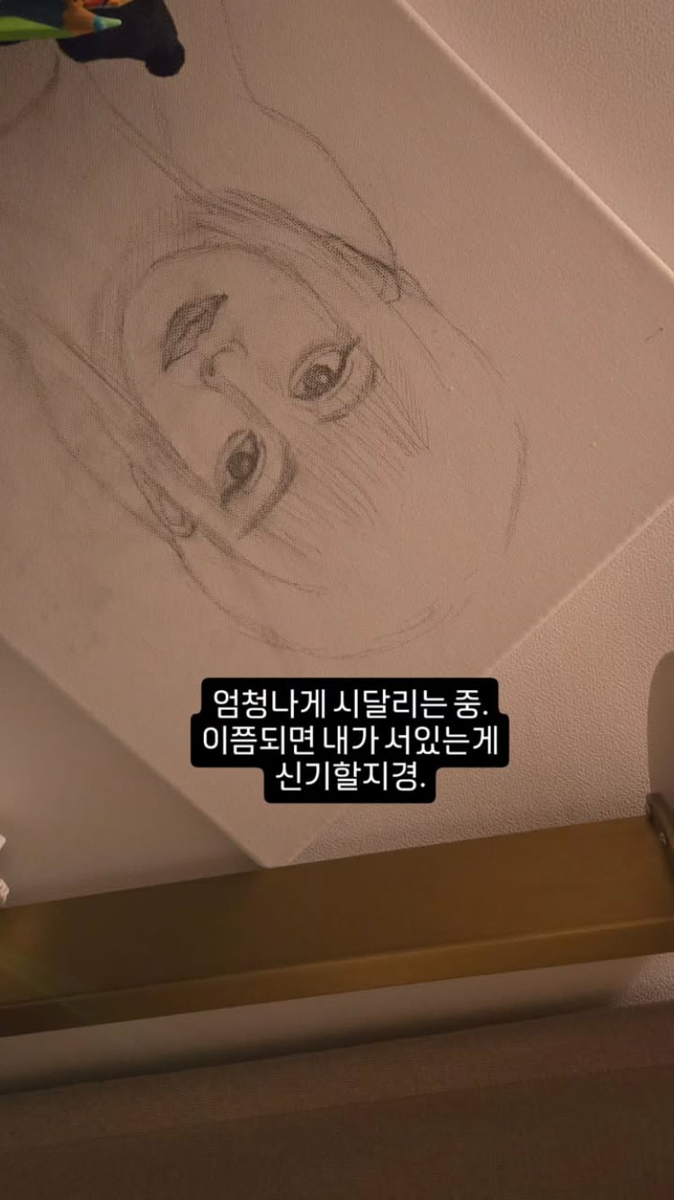 ‘최병길 PD와 이혼’ 서유리, 건강 이상 호소…파산 안 하려 애쓰는중