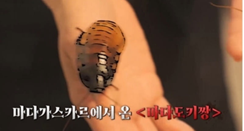 사진제공=채널S