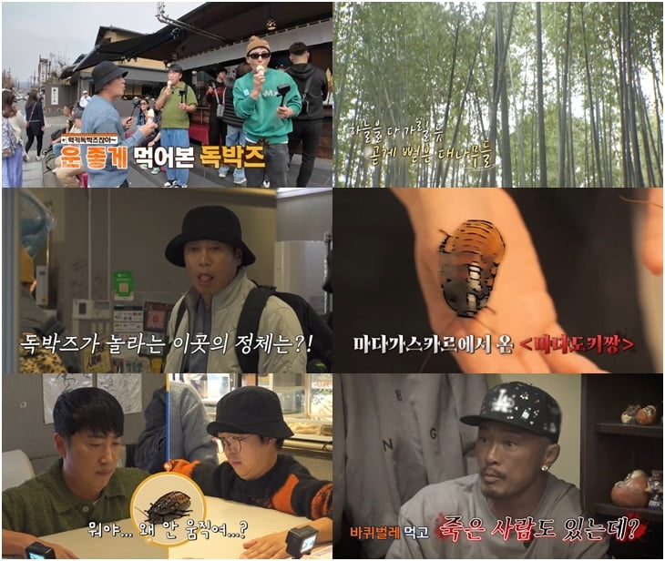 촬영 중 바퀴벌레 먹었다…김준호도 놀란 크기, "유세윤 좋아할 수 있는 맛" ('독박투어3')
