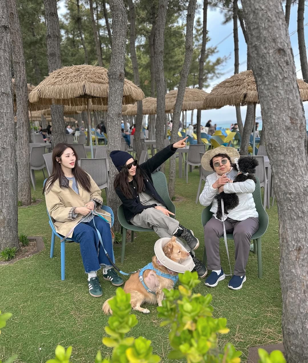 서동주, 재혼 1달 앞두고 새 식구 생겼다…♥예비 남편까지 "패밀리 타임"