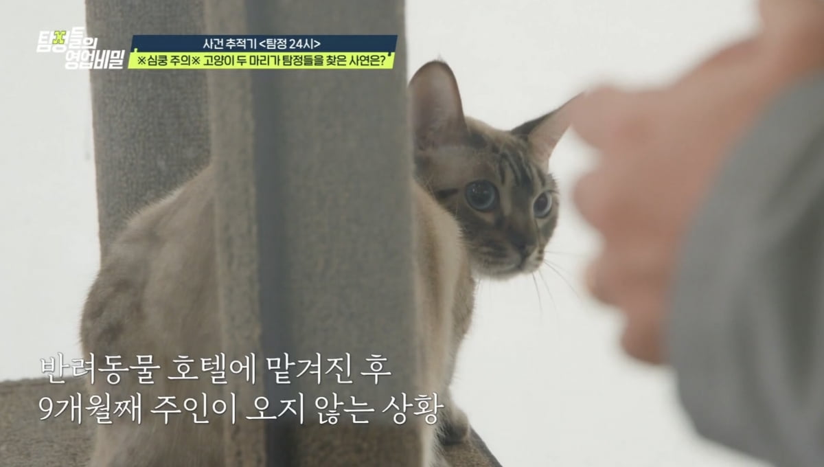 30대 남편 불륜녀가 60대, 혼외자 생모도 아니었다…간미연 "혼자 살아"('탐비')