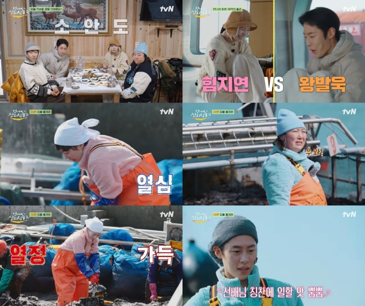 사진=tvN