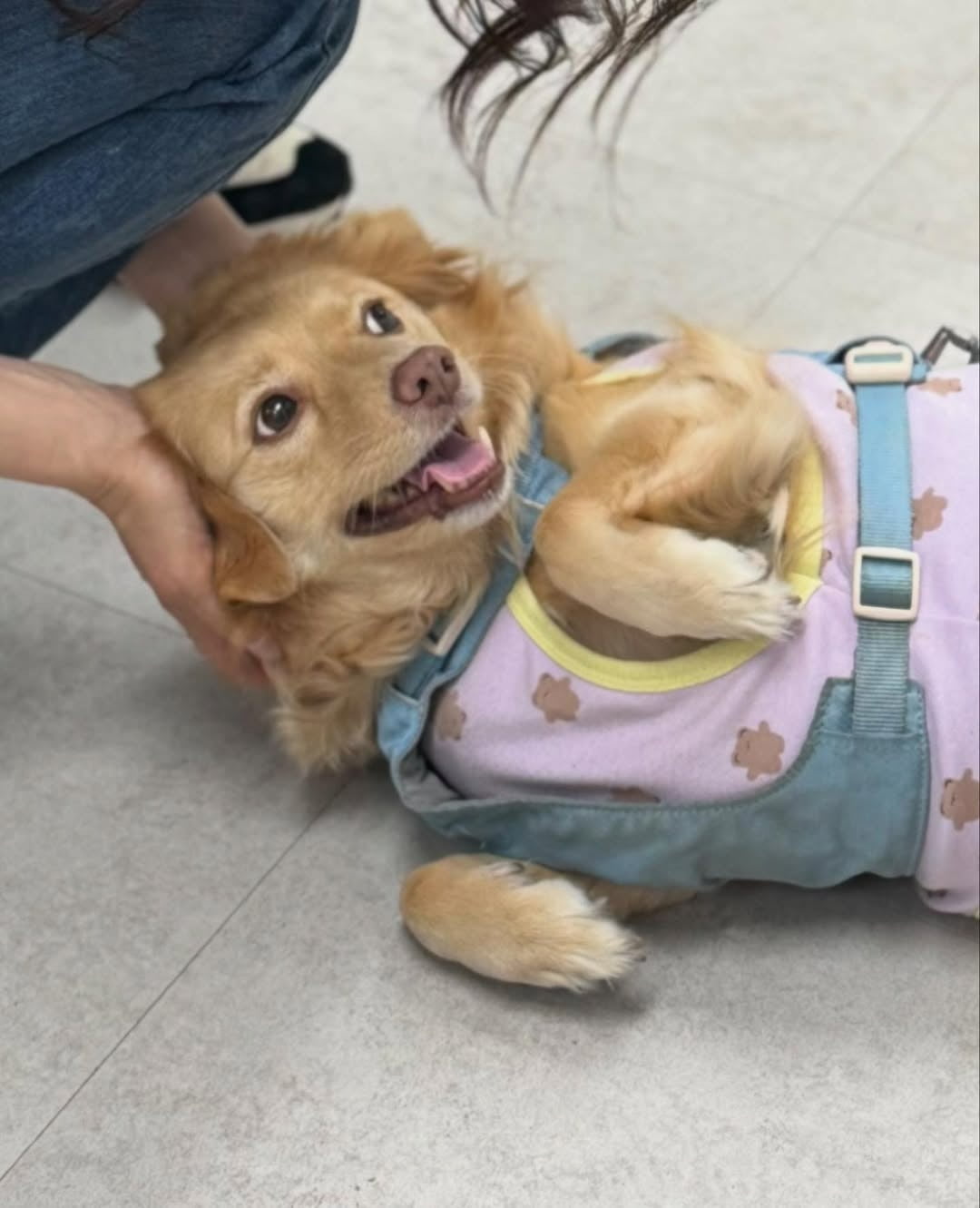 사진=서동주 인스타그램