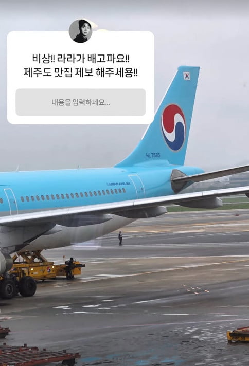 사진=손민수 SNS