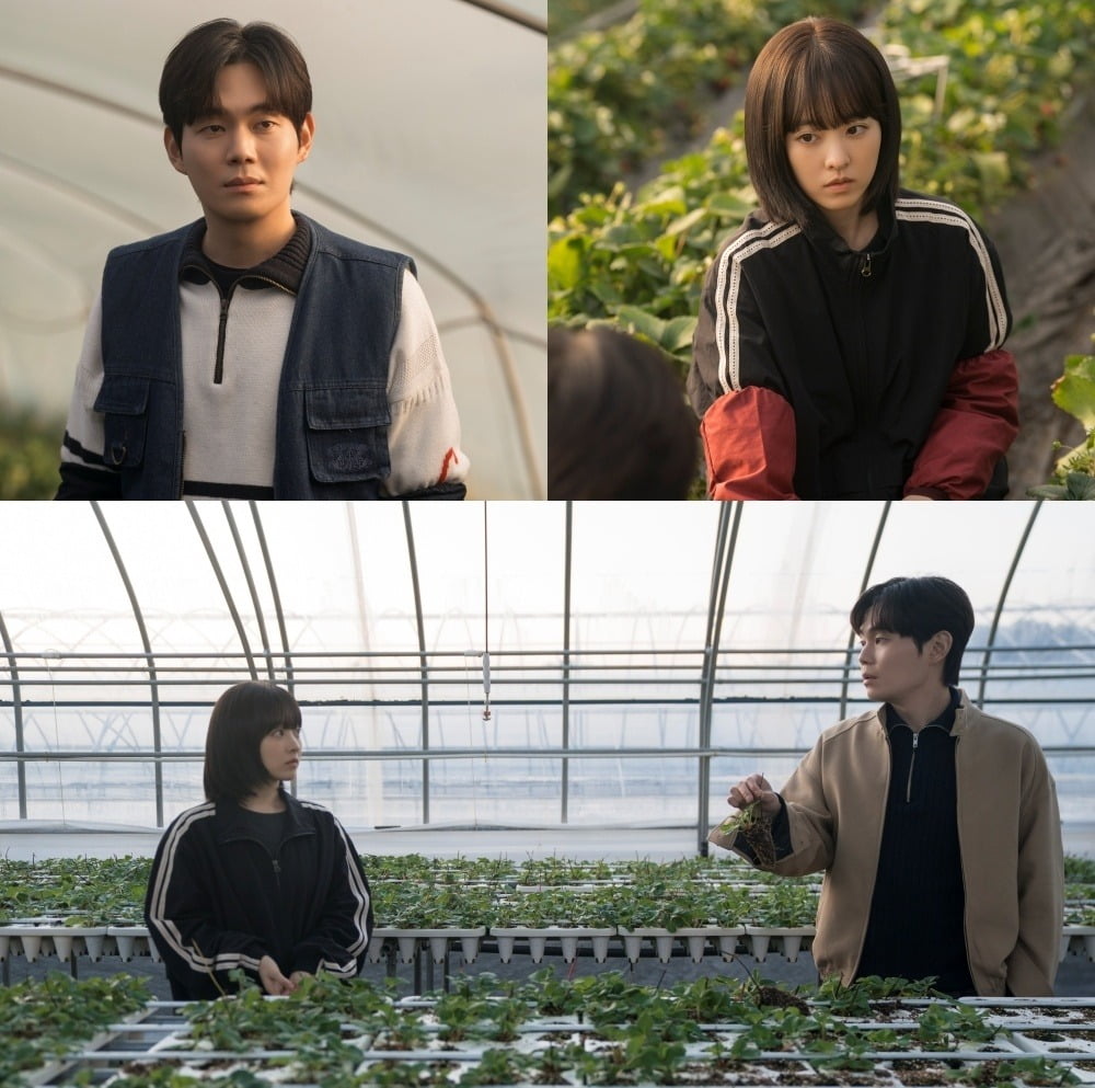 사진=tvN