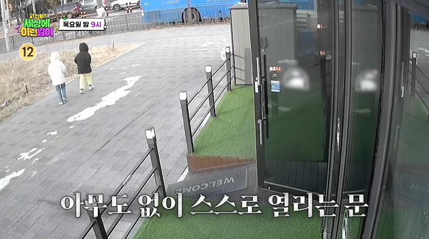 집에 모기떼 3천마리…백지영, 얼마나 끔찍하길래 "귀신보다 싫어"('세상에 이런일이2')