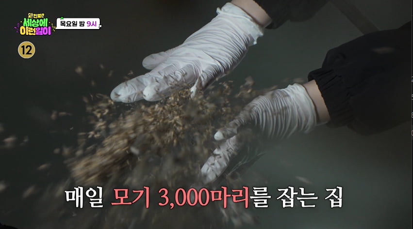 집에 모기떼 3천마리…백지영, 얼마나 끔찍하길래 "귀신보다 싫어"('세상에 이런일이2')