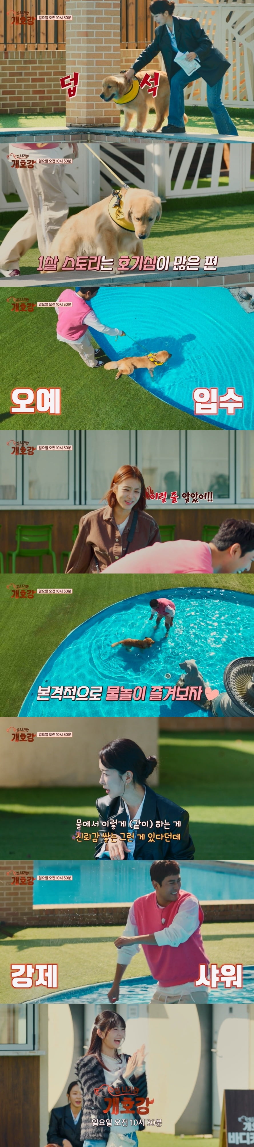 사진 제공 = JTBC ‘집 나가면 개호강’
