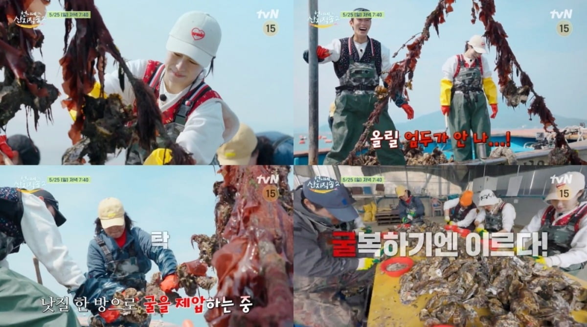 사진=tvN