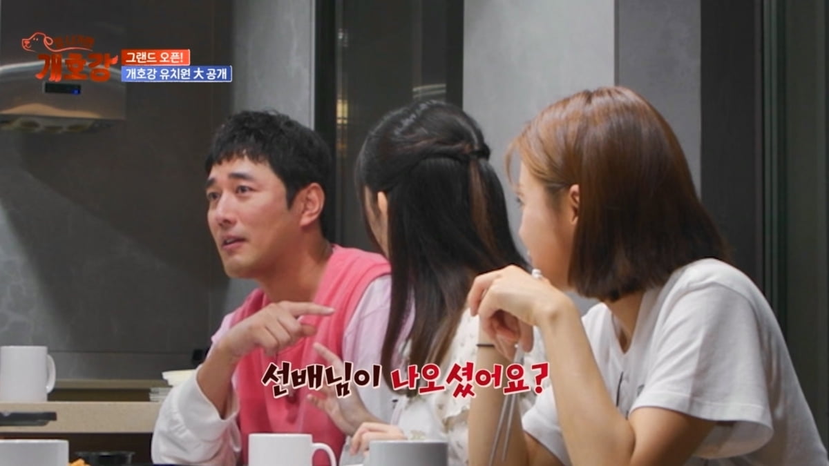 /사진 = '집나가면개호강'