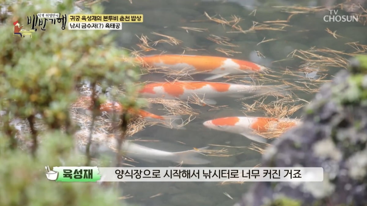 사진=TV CHOSUN '식객 허영만의 백반기행' 캡처