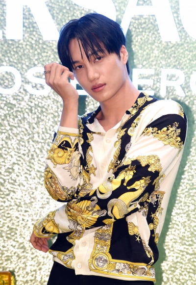 엑소 카이, 화보 같은 비주얼[TEN포토+]