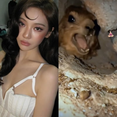 닝닝, 카리나 향한 잡음 저격했나…소란 속 '명상' 이모티콘
