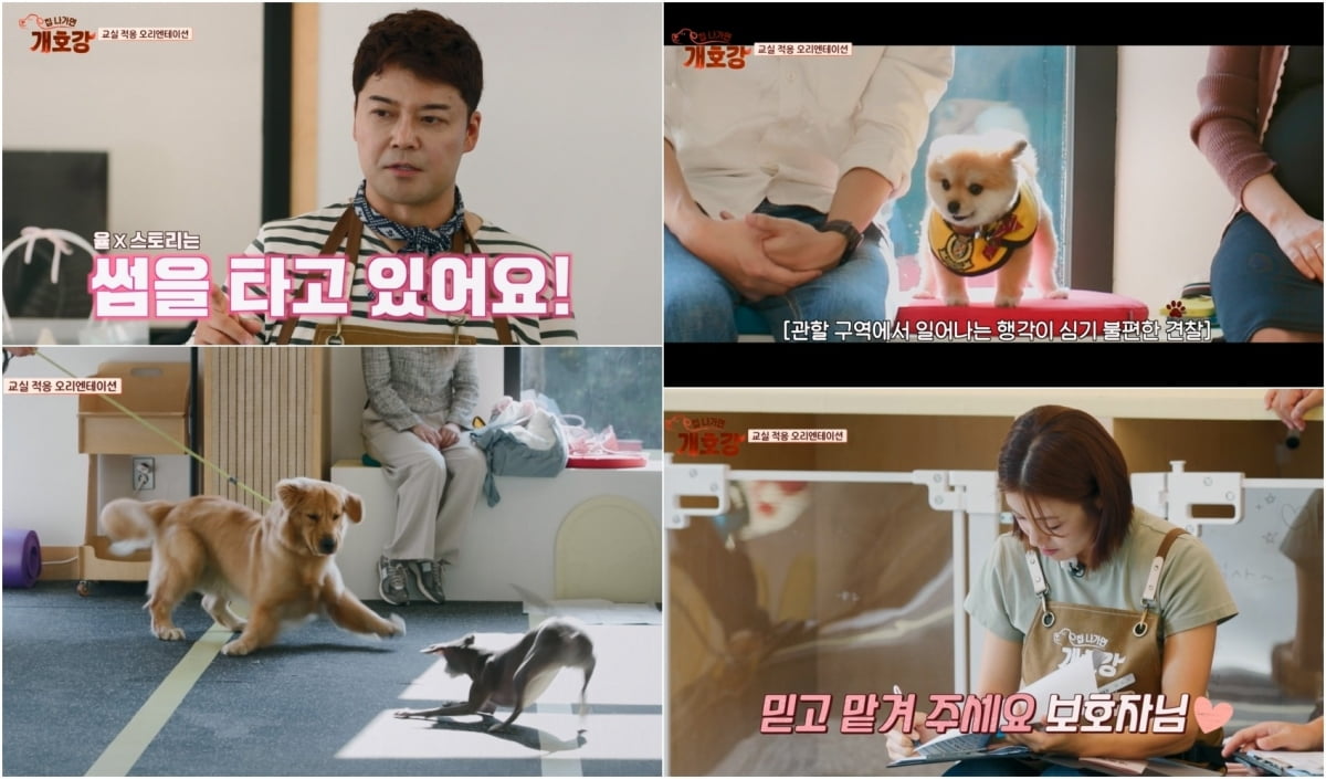 방송 중 대놓고 썸타네…전현무 "관심 없는 척하더니 다가와" ('개호강')