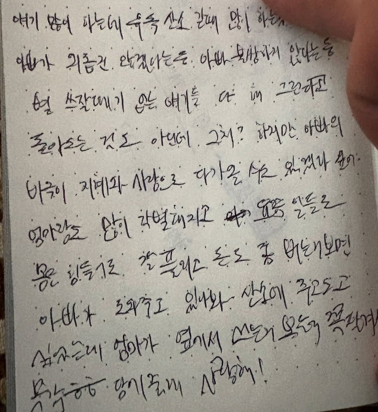 사진=노엘 SNS
