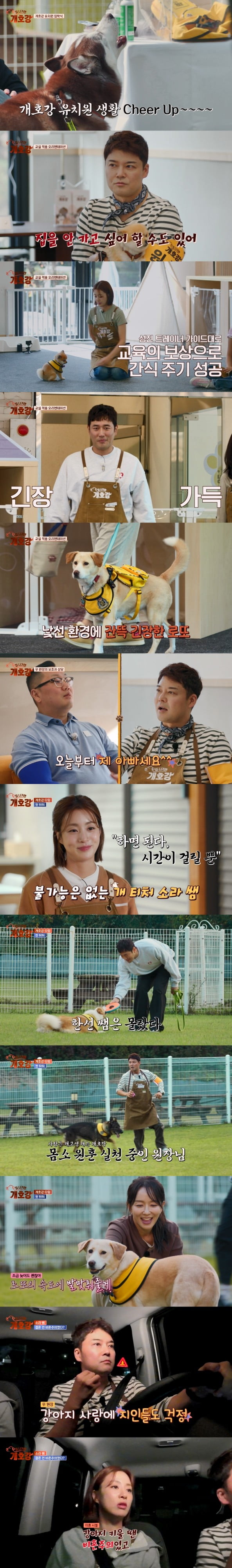 사진 제공 = JTBC ‘집 나가면 개호강’