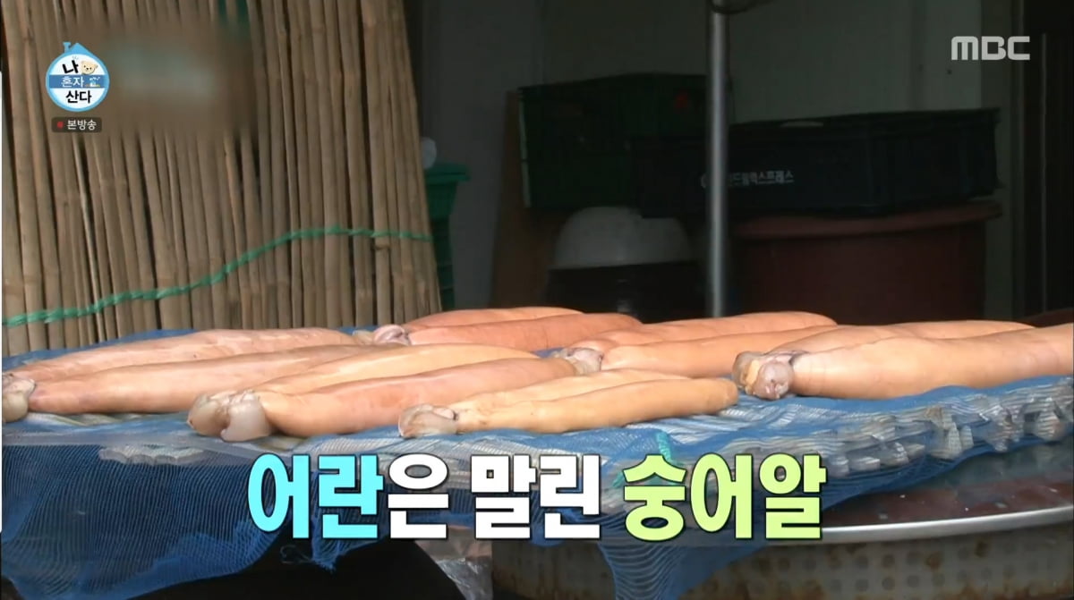 사진=MBC '나 혼자 산다'