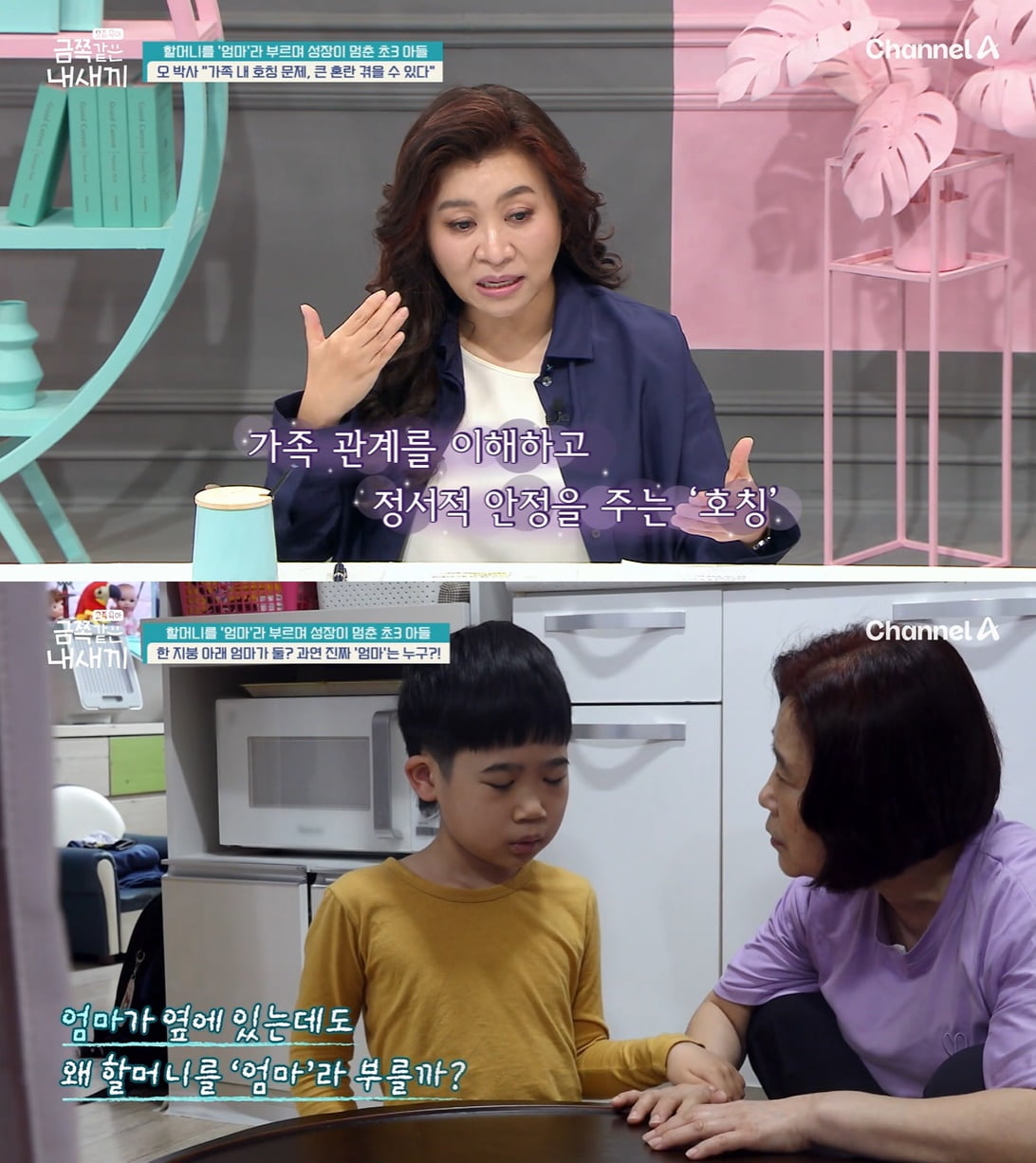 '초3' 금쪽이, 한 지붕 아래 엄마가 둘? 오은영 "호칭 문제 심각" ('금쪽같은')