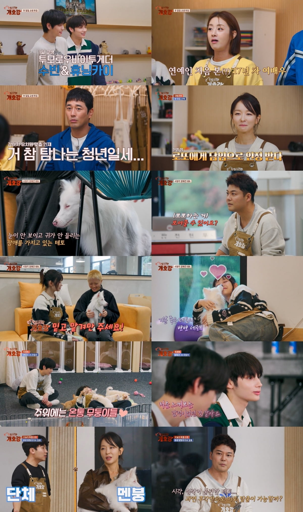 전현무, 3000평 규모 개 유치원 운영하더니…고생 채용 "얼마든지 맡겨달라" ('개호강')