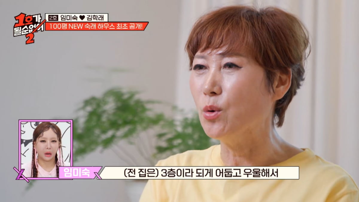 '연매출 100억' 임미숙♥김학래, 명품으로 채운 100평 대저택 공개했다 'L타워뷰'('1호가')