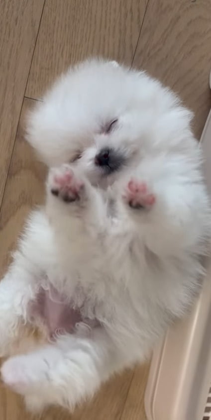 사진=박봄 SNS