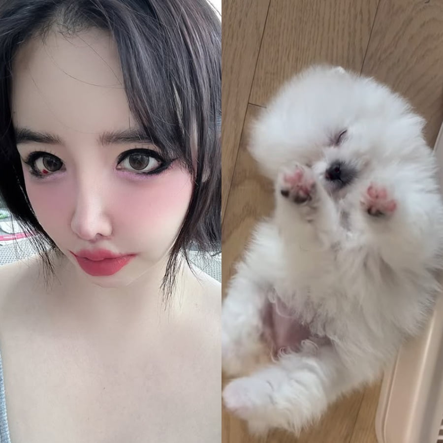 사진=박봄 SNS