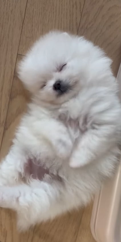 사진=박봄 SNS