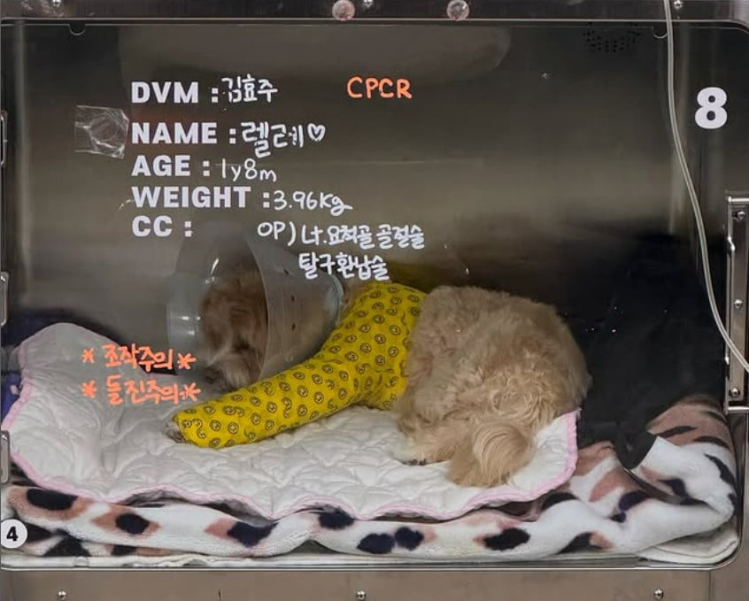 사진=한예슬 SNS