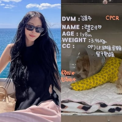 한예슬, 반려견 추락에 CCTV 돌렸다…"전 직원 실수 확인"