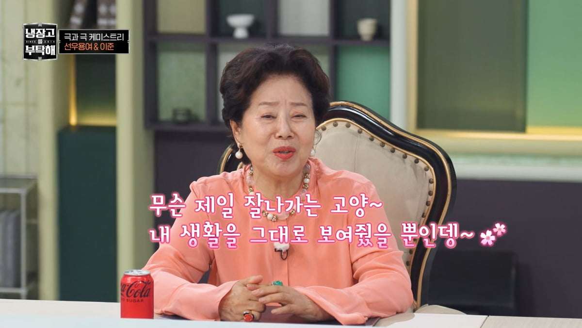 선우용여, 외제차 몰고 6만원 호텔 조식에 해외여행은 당일치기…"내 생활"('냉부해')