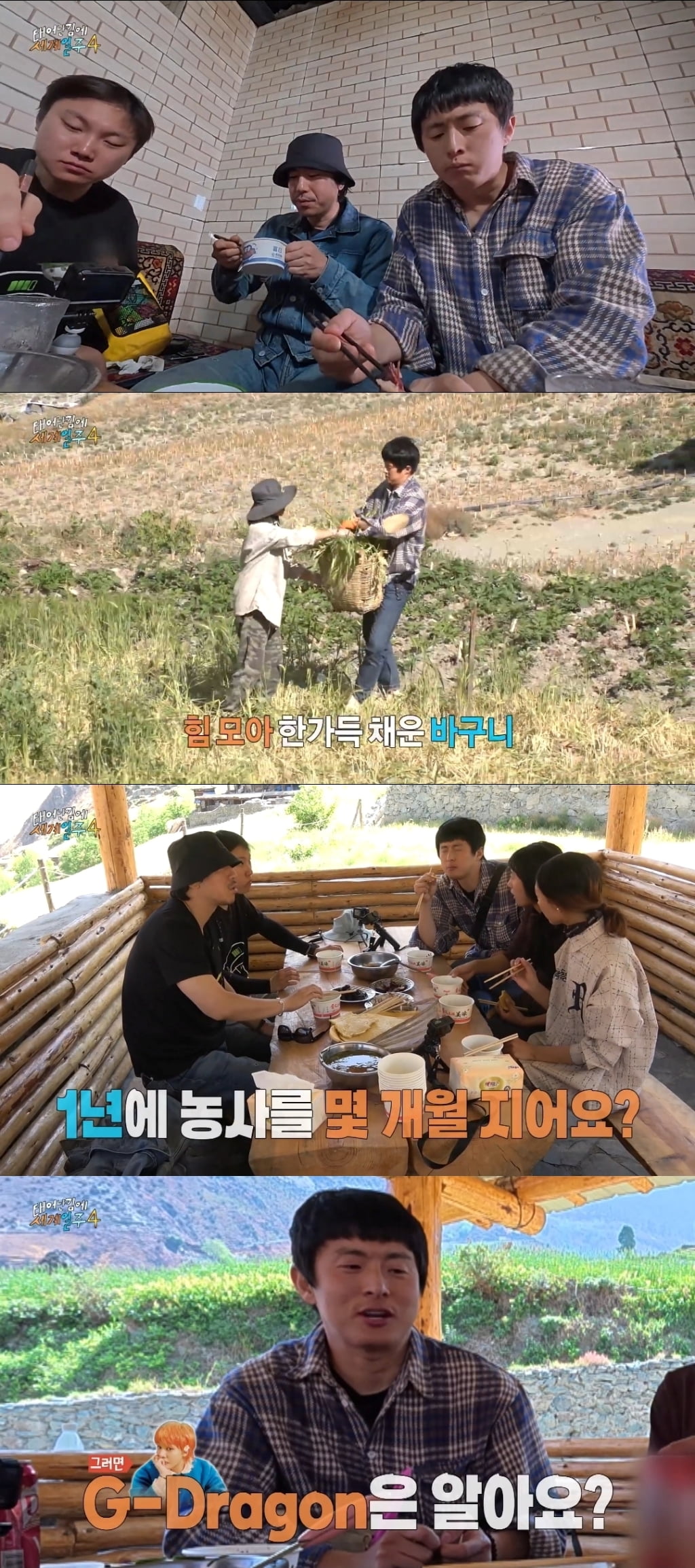 [종합] 덱스 하차했는데 시청률 올랐다…기안84, GD 자랑 굴욕 '최고 7.4%' ('태계일주4')