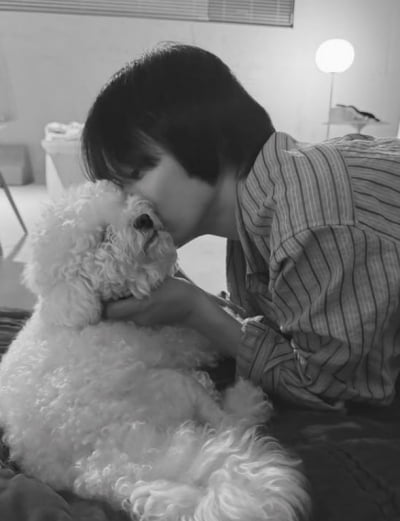 송혜교, 입국하자마자 반려견에 "음뫄~"…보고싶었잖아