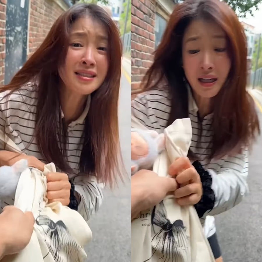 사진=이시영 SNS