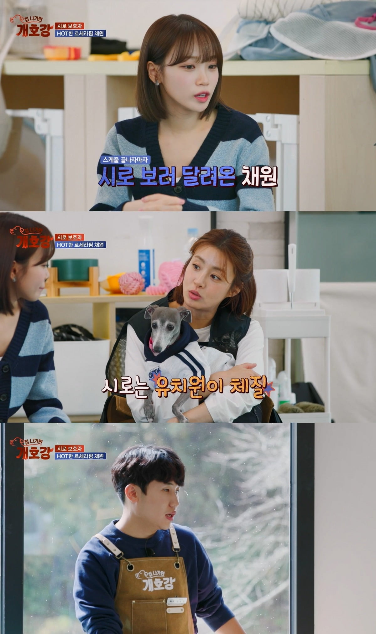 사진=JTBC