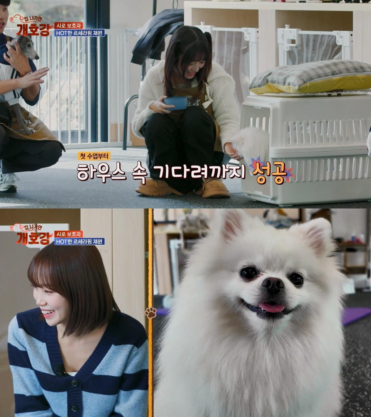 사진=JTBC