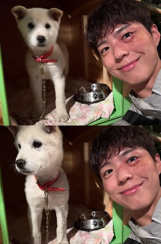 사진=박보검 SNS