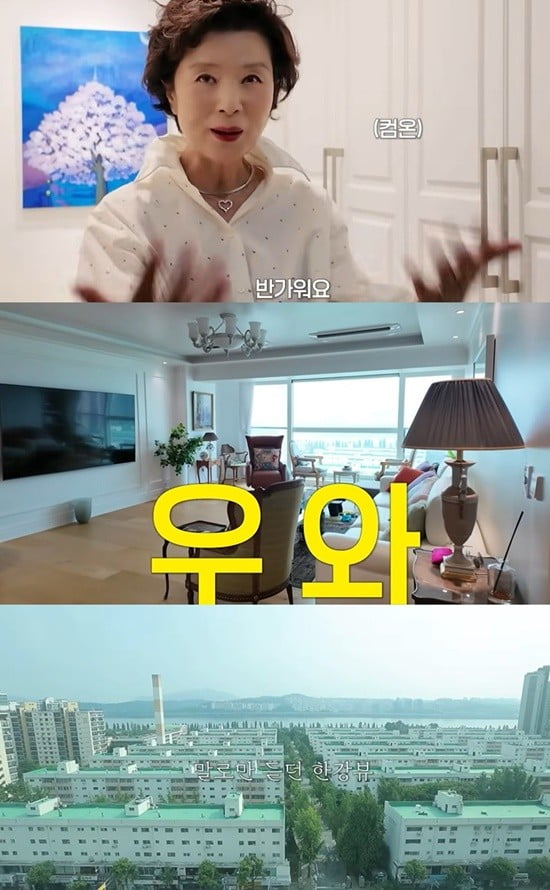 '73세' 윤미라, '억대 한강뷰 家' 공개했다…"아꼈으면 몇 층짜리 건물주 됐을 것"