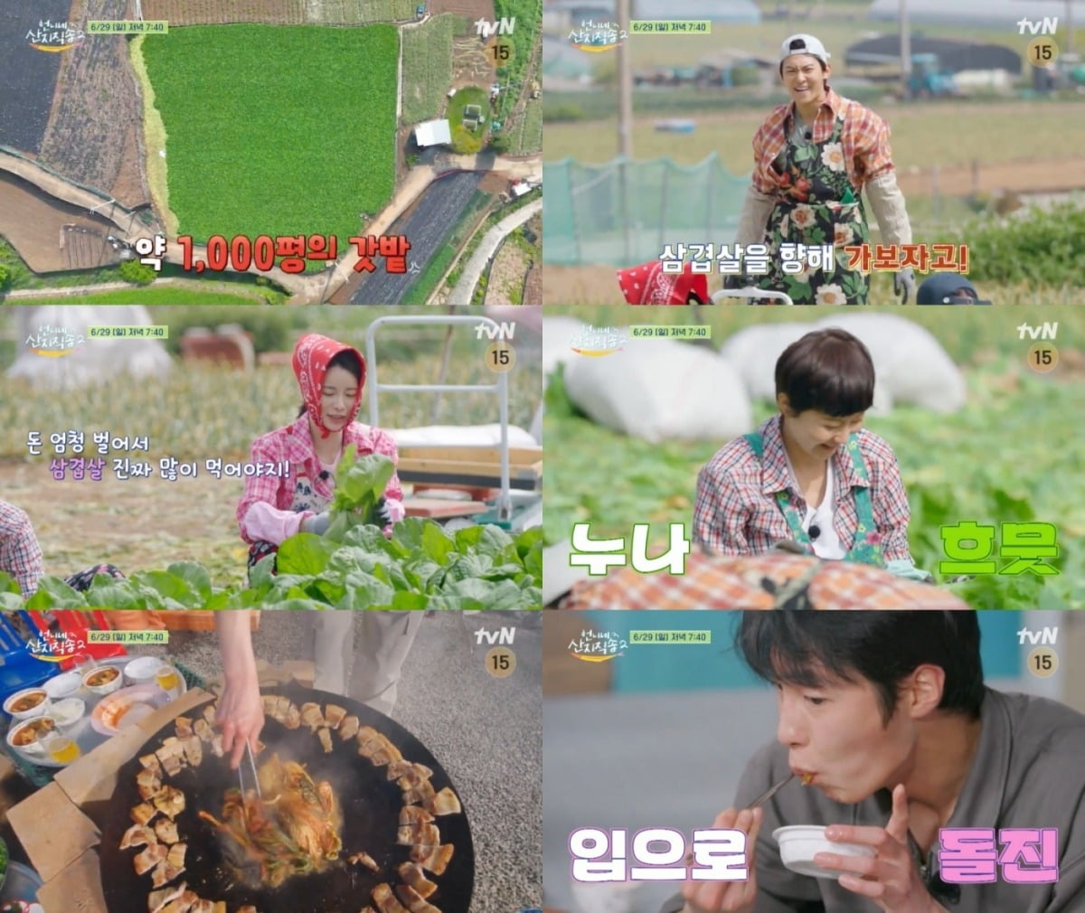 사진=tvN