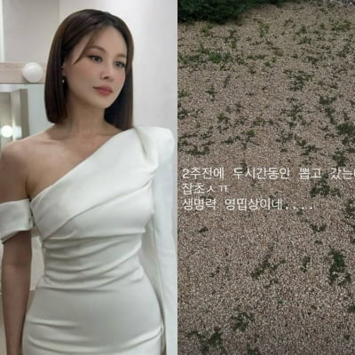 "내가 이겨 이 XX야" 욕설 뱉었던 아이비, 1년 만에 또…"이 XX 밉상이다"