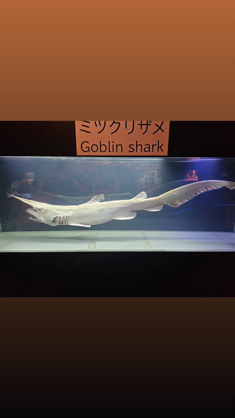 ‘폭행 혐의’ 10기 정숙, 벌금 700만원 선고받은 후…한국 떠나 일본행
