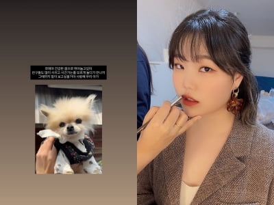 악뮤 이수현, 5개월 만에 접한 또 다른 비보…"많이 보고 싶을 거야"