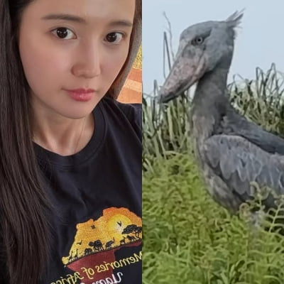 남보라, 우간다에 물 체크하러 갔다가 깜짝…'공룡 후예' 슈빌 마주쳐