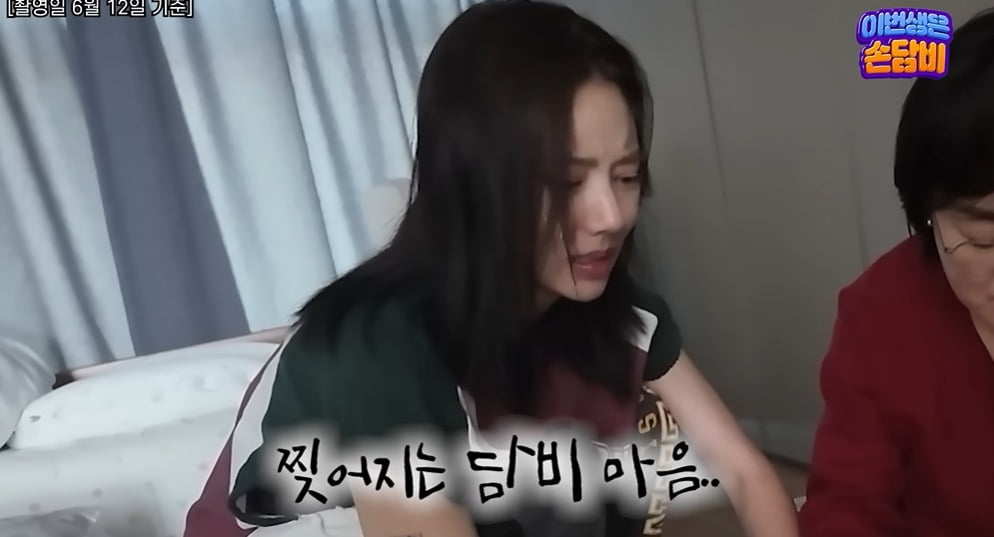 사진 = 유튜브 채널 '담비손' 캡처
