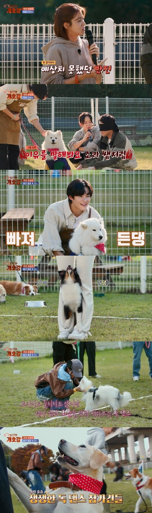 사진=JTBC