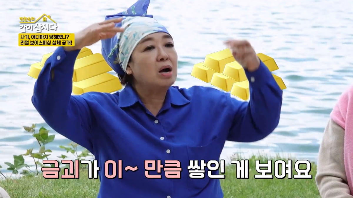 혜은이, 200억 빚에 '시한부 건물주' 사기도 당할 뻔했다…"금괴 보인다고"('같이삽시다')