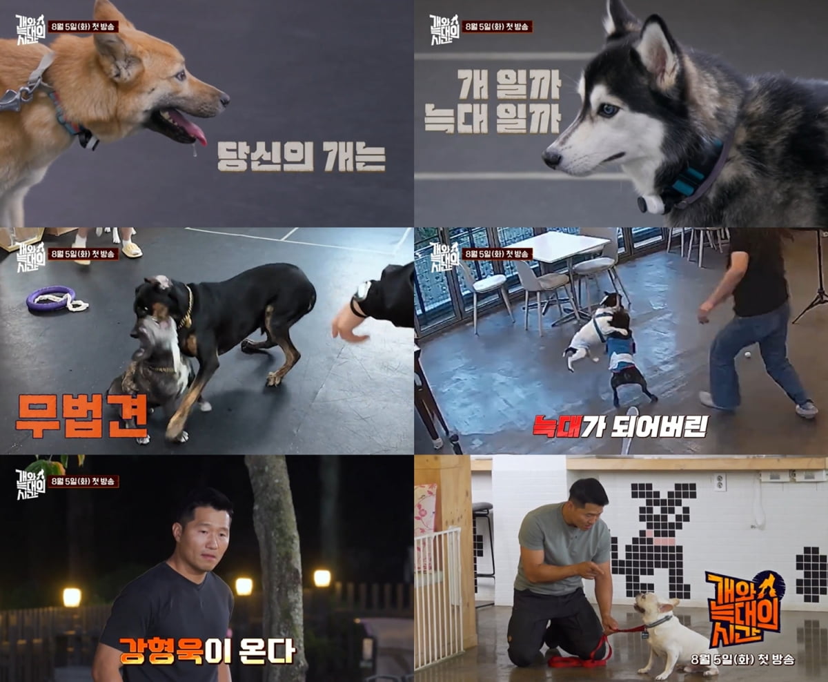 사진=채널A