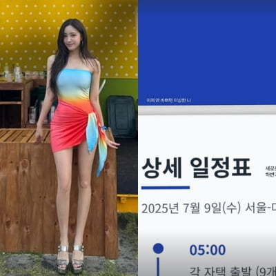 갓생 살고 싶다면 효민처럼…엑셀 개발자도 놀랄 '숨 턱' 일정