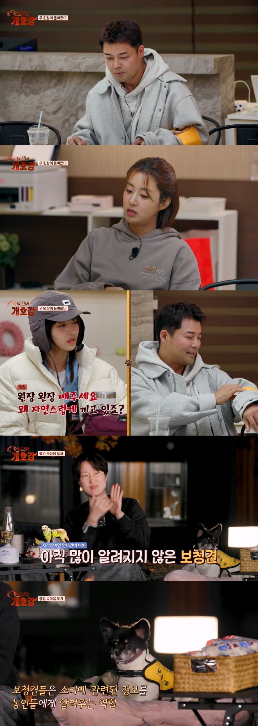 사진 제공 = JTBC ‘집 나가면 개호강’
