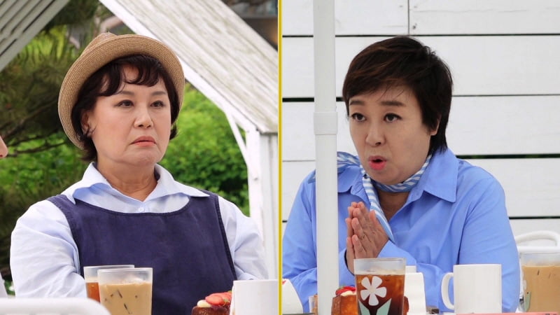"불편해" 혜은이 고백에 충격 컸나…박원숙, 결국 정신과 의사 상담 받았다('같이삽시다')