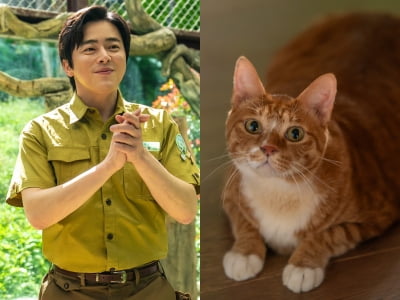 조정석네 반려묘, 총명함이 남다르네…'털 날리는 오디션' 통과('좀비딸')